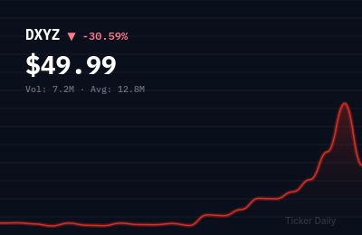 Why Is Destiny Tech100 (DXYZ) Stock Down 30.6% Today?