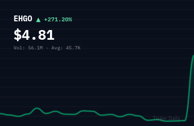 Why Is Eshallgo Inc. Class A Ordinary Shares (EHGO) Stock Up 237.1% Today?