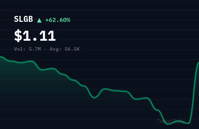 Why Is Smart Logistics Global Limited Ordinary Shares (SLGB) Stock Up 63.3% Today?