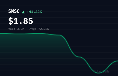 SNSC stock price chart showing +41.2% change